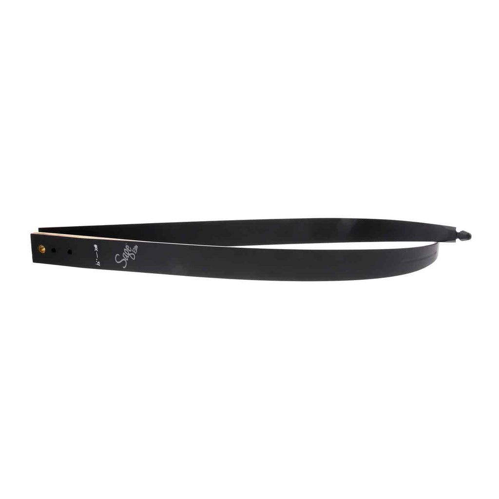 Galaxy Sage TakeDown Elite II Recurve Limbs Lancaster Archery Dealer
