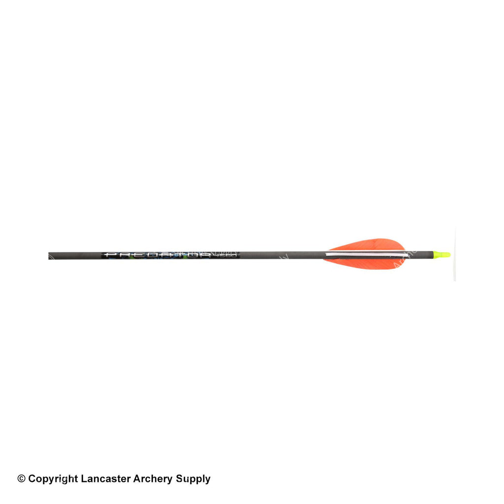 Carbon Express Predator II Fletched Arrow (Feathers) Lancaster Archery Dealer