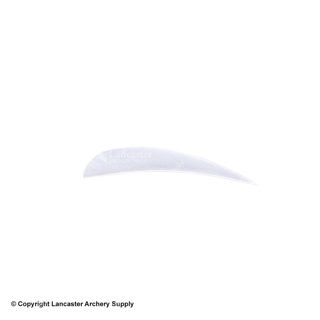 Trueflight 4" RW Round Back Feather Lancaster Archery Dealer